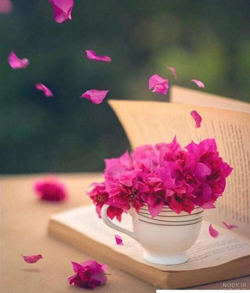  عکس بدون متن در مورد زندگی