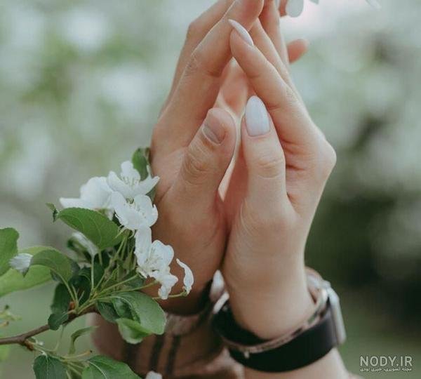  عکس بدون متن در مورد زندگی