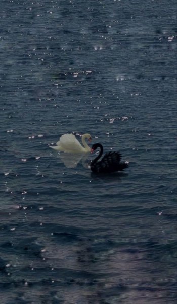  عکس پروفایل بدون متن خاص