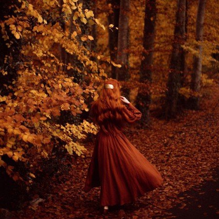  عکس برای استوری پاییزی