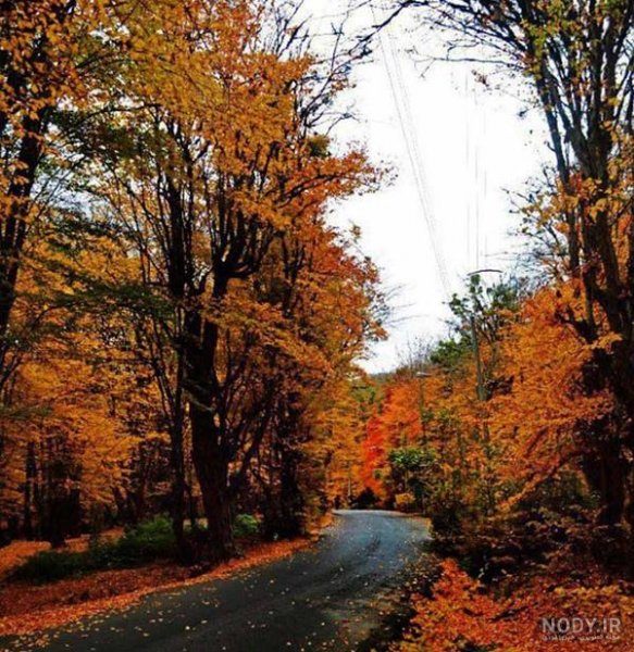  زیباترین تصاویر پاییزی ایران