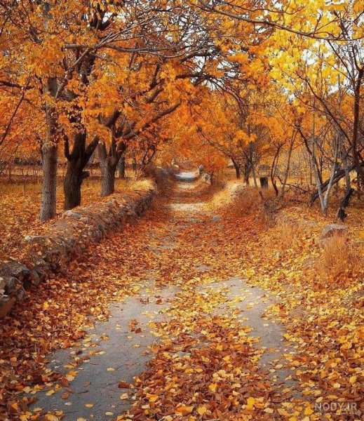  زیباترین تصاویر پاییزی ایران
