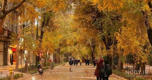  زیباترین تصاویر پاییزی ایران