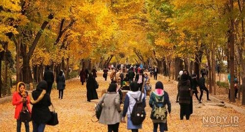  زیباترین تصاویر پاییزی ایران
