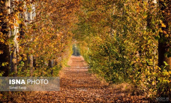 زیباترین تصاویر پاییزی ایران