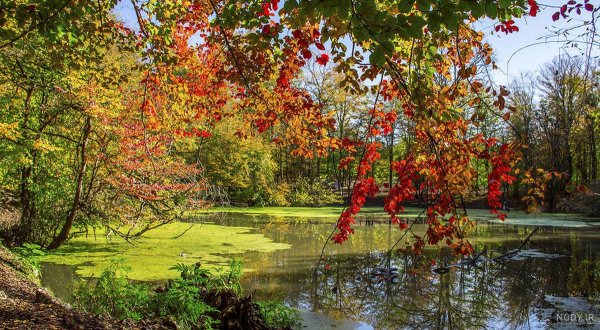  زیباترین تصاویر پاییزی ایران