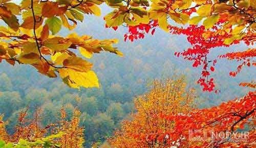  زیباترین تصاویر پاییزی ایران