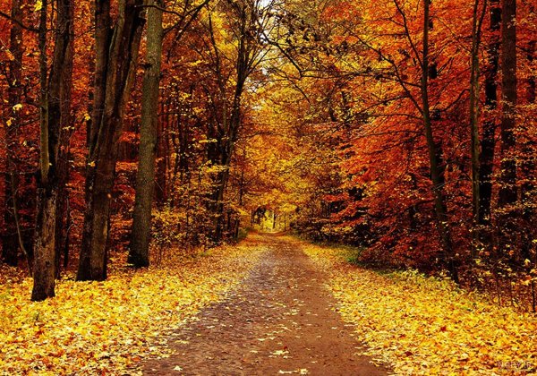  زیباترین تصاویر پاییزی ایران