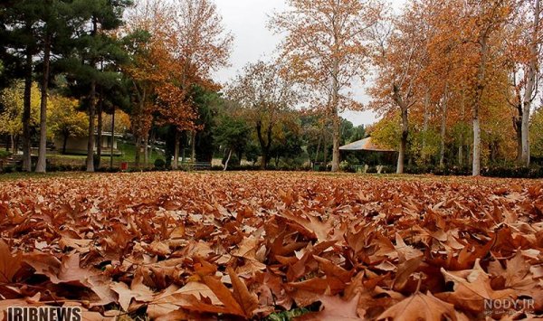  زیباترین تصاویر پاییزی ایران