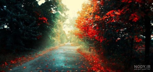  زیباترین تصاویر پاییزی ایران