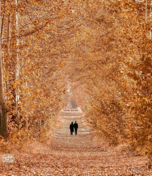  زیباترین تصاویر پاییزی ایران