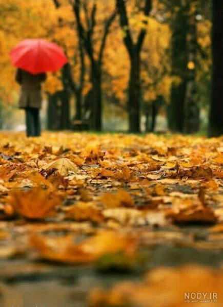  40 پروفایل پاییزی دخترانه