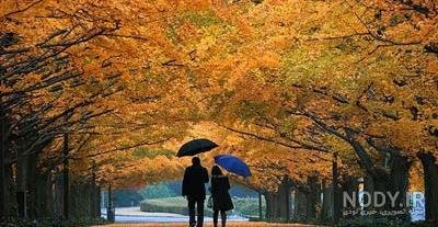  48 پروفایل پاییزی عاشقانه