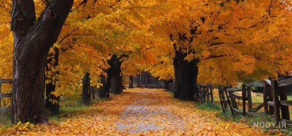  48 پروفایل پاییزی عاشقانه