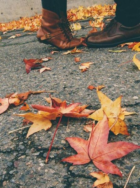  48 پروفایل پاییزی عاشقانه