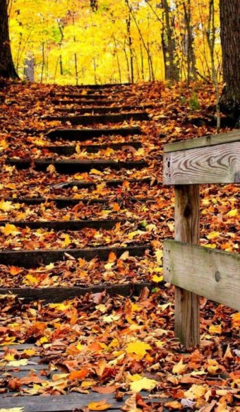  عکس پروفایل پاییزی جدید