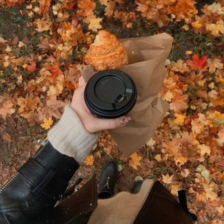  200 عکس برای استوری پاییز