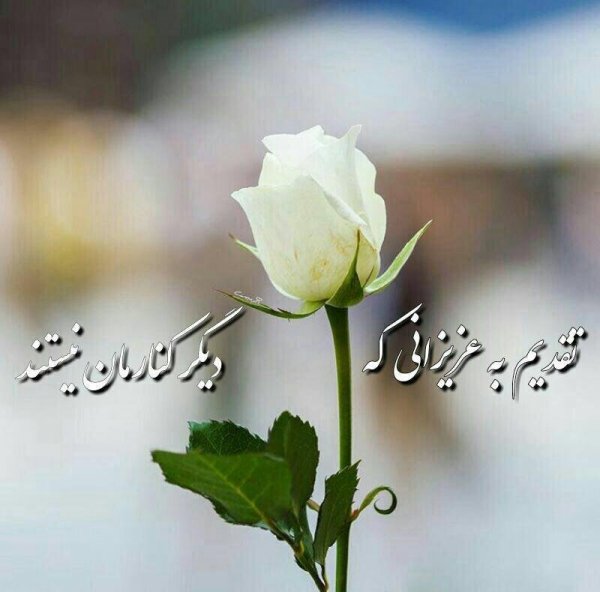 عکس فاتحه و صلوات برای مادر
