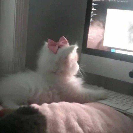  عکس فیک برای استوری