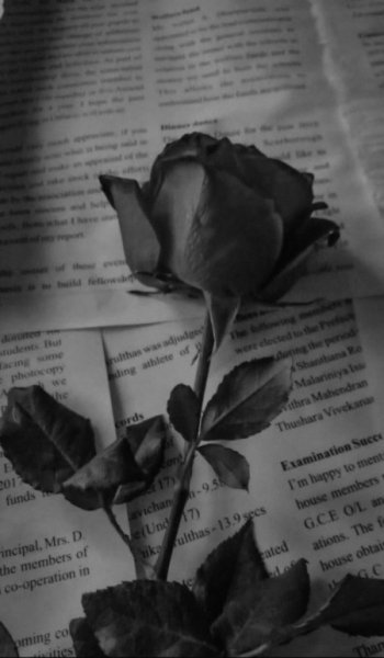  عکس عاشقانه خاص