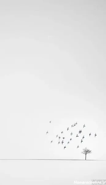  25 صفحه سفید