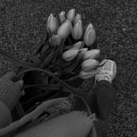  عکس صفحه سیاه و سفید