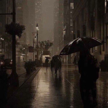  عکس صفحه سیاه و سفید