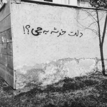  عکس صفحه سیاه و سفید