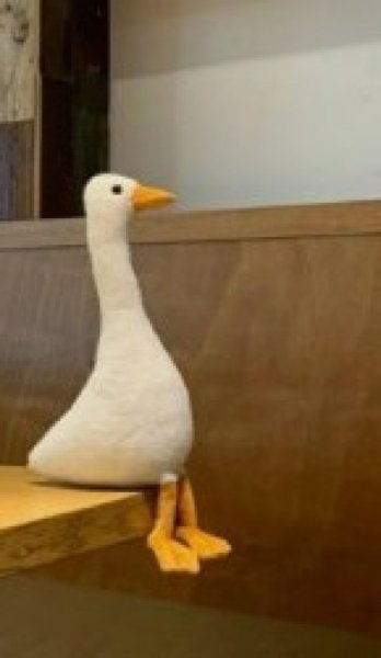  عکس سفید برای پروفایل