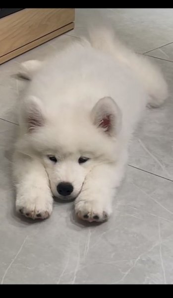  عکس سفید برای پروفایل