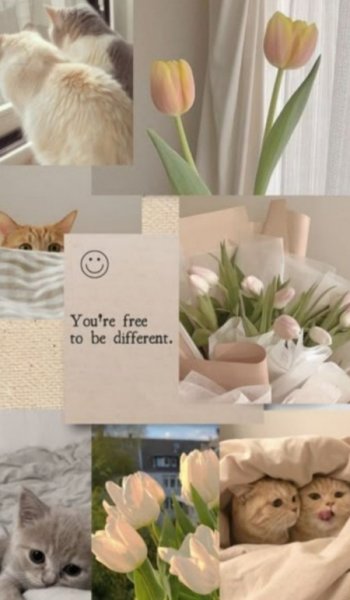  عکس سفید برای پروفایل