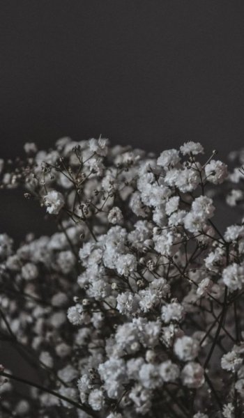  عکس سفید برای پروفایل