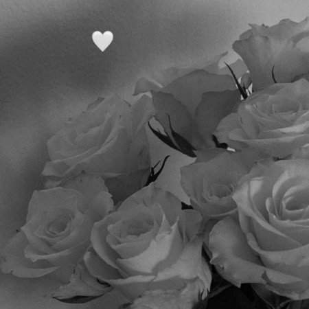  عکس سفید برای پروفایل