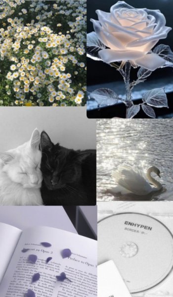  عکس سفید برای پروفایل