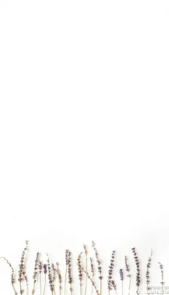  عکس سفید طرح دار