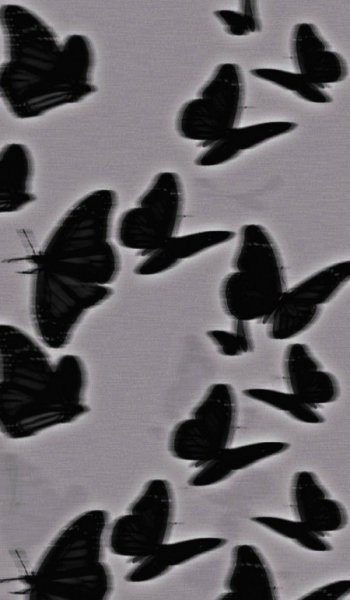  زمینه عکس سفید