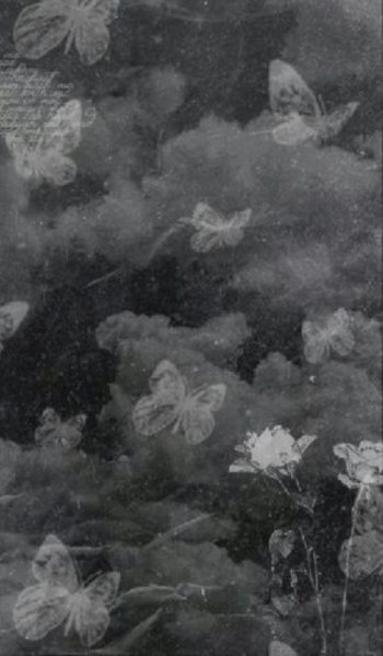  زمینه عکس سفید