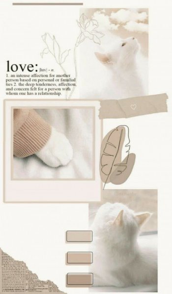  زمینه عکس سفید