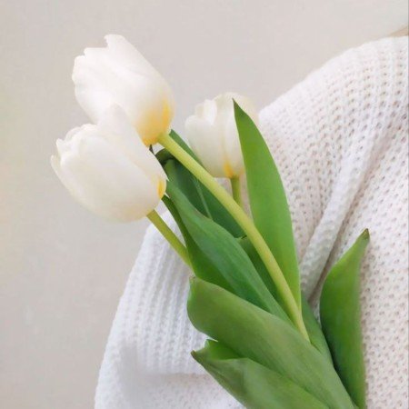  عکس سفید فانتزی