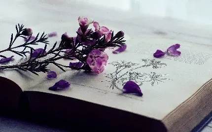  عکس سفید فانتزی