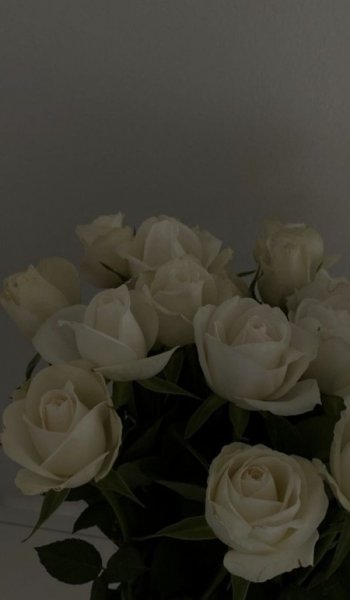  عکس سفید فانتزی