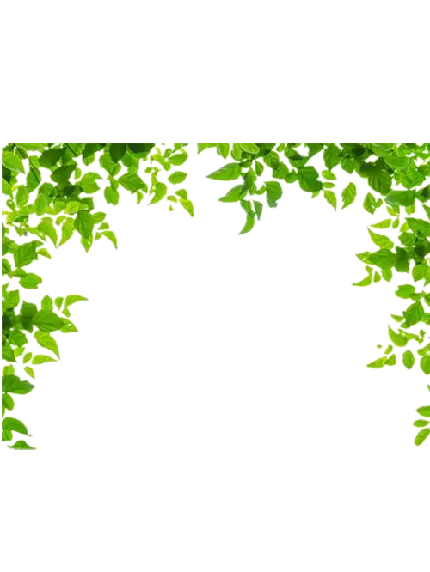  عکس برای استوری پست جدید