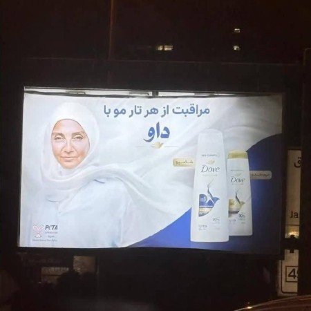  48 متن و عکس زیبا برای استوری