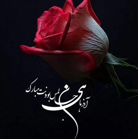  عکس تولد همسر آذر ماهی