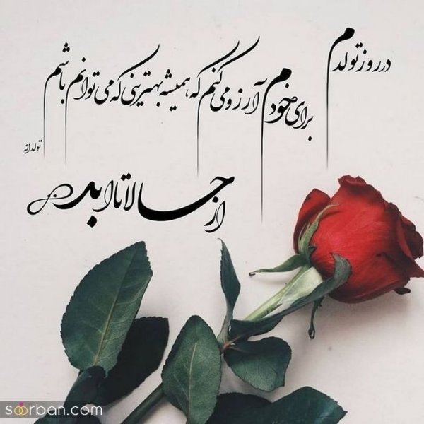  استوری تولد اردیبهشت ماهی