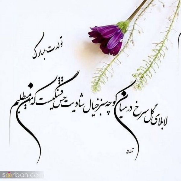  80 عکس تولد اردیبهشتی