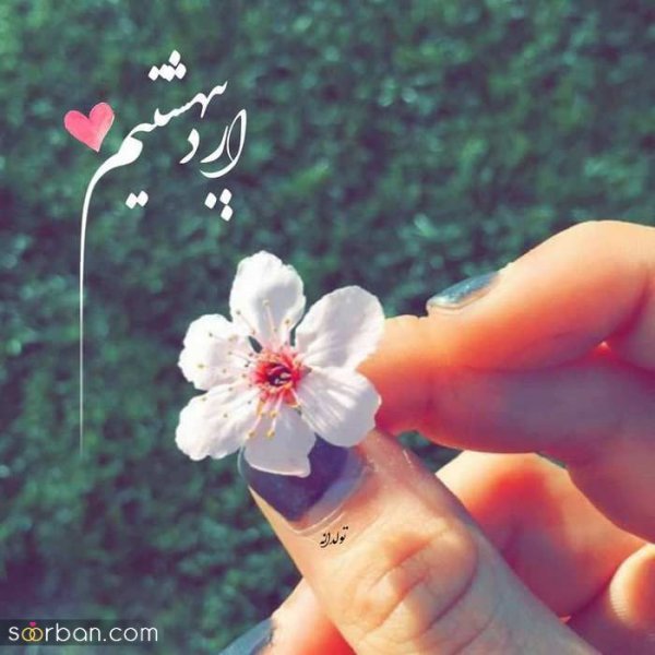  80 عکس تولد اردیبهشتی