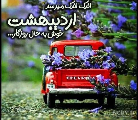  عکس تولد اردیبهشتی پسر