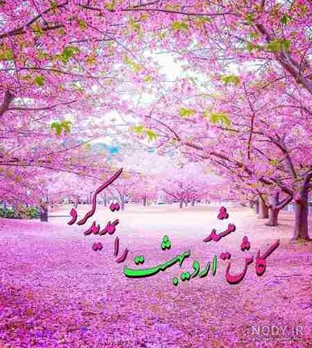  68 عکس پروفایل دختر اردیبهشتی جدید