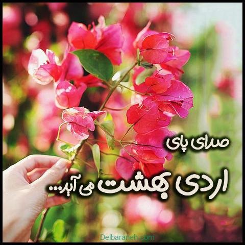  عکس اردیبهشت ماهی